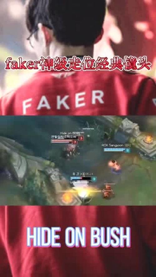 爆料好玩的视频,盘点那些让人捧腹大笑的爆笑瞬间